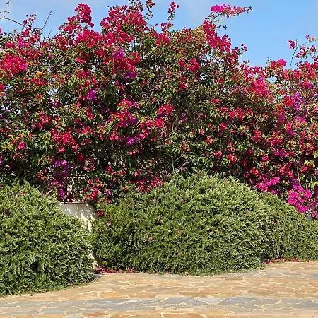 Casa Ada - Negras בית נופש Níjar